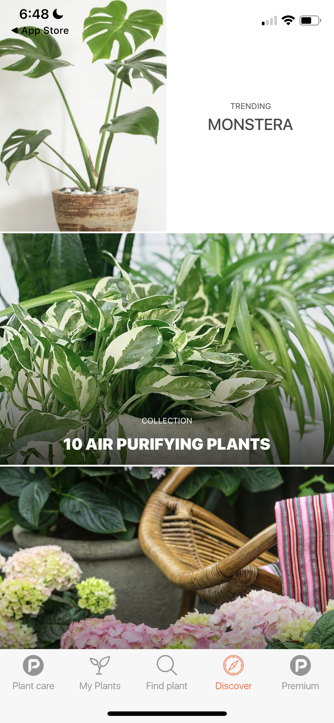 Screenshot of Discover