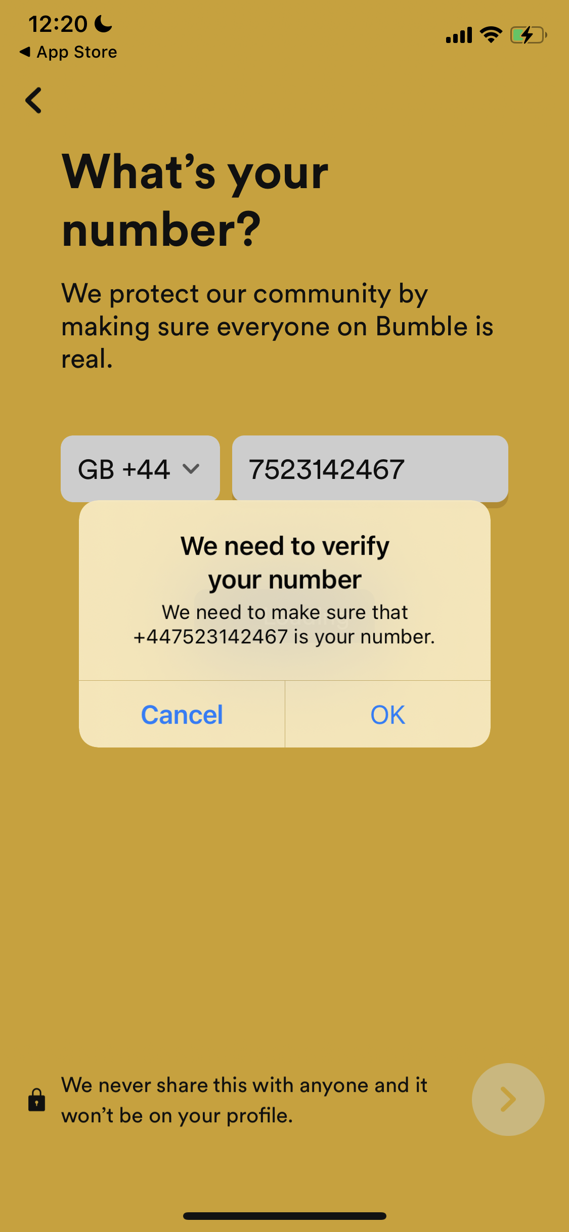 Screenshot of Verify phone number