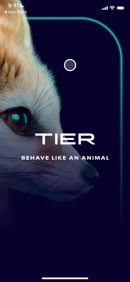 Onboarding on TIER video thumbnail