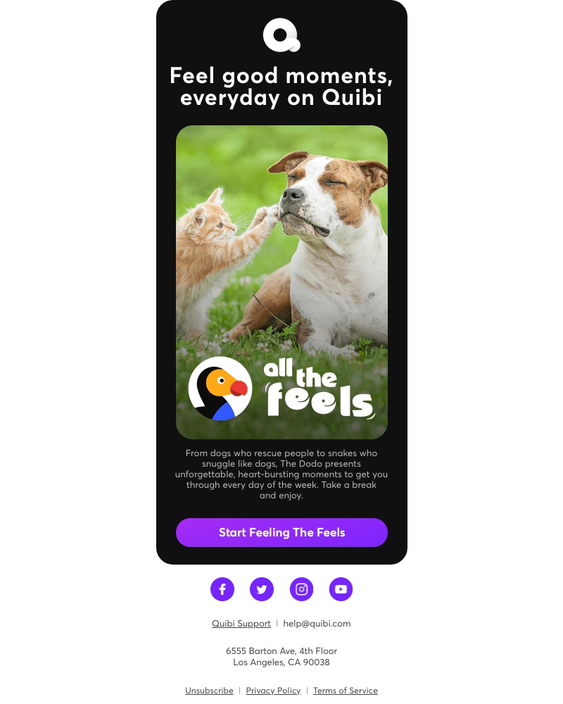 Quibi - Animals make everything better