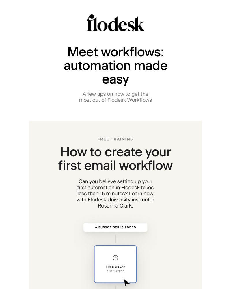 Flodesk - Could automations be this easy? π±