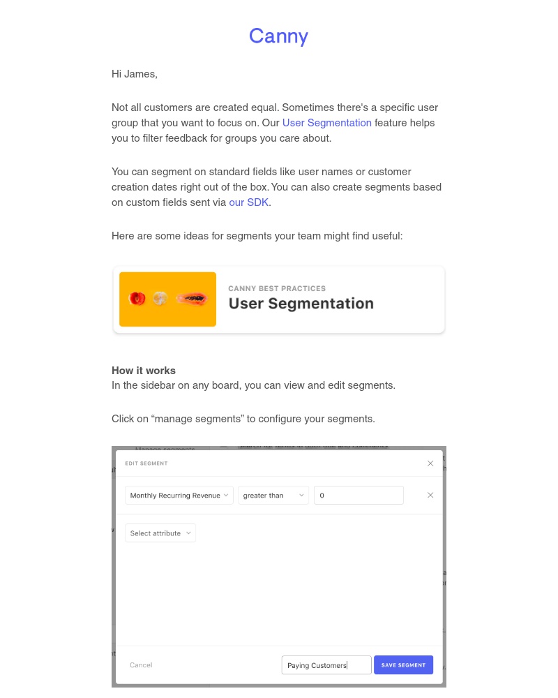 Canny - How to segment your feedback