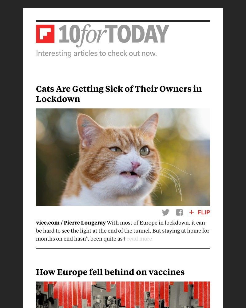Flipboard - Is your cat sick of you?
