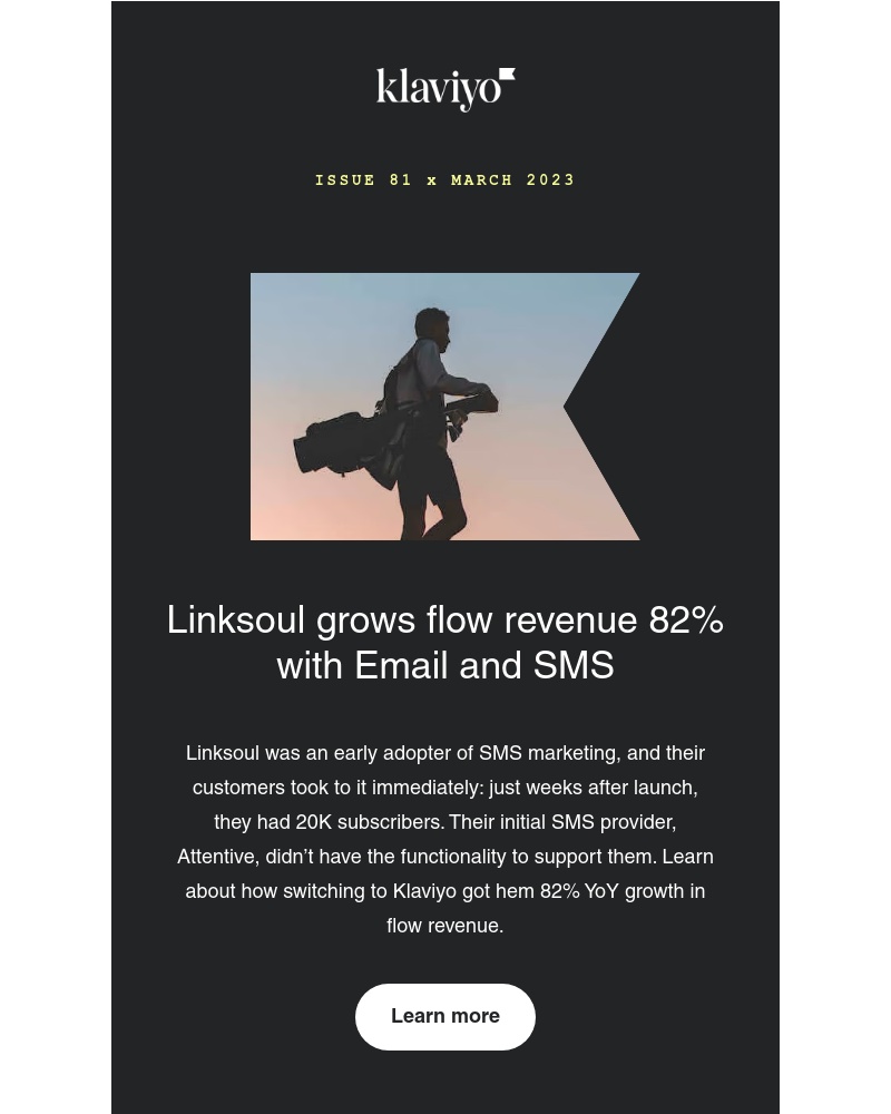 Klaviyo - Linksoul Grows Flow Revenue 82%