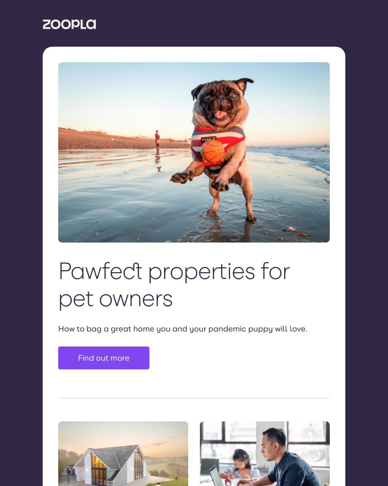Zoopla - Pet-friendly rentals and how to find them