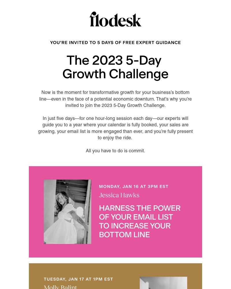 Flodesk - Something big is coming next week