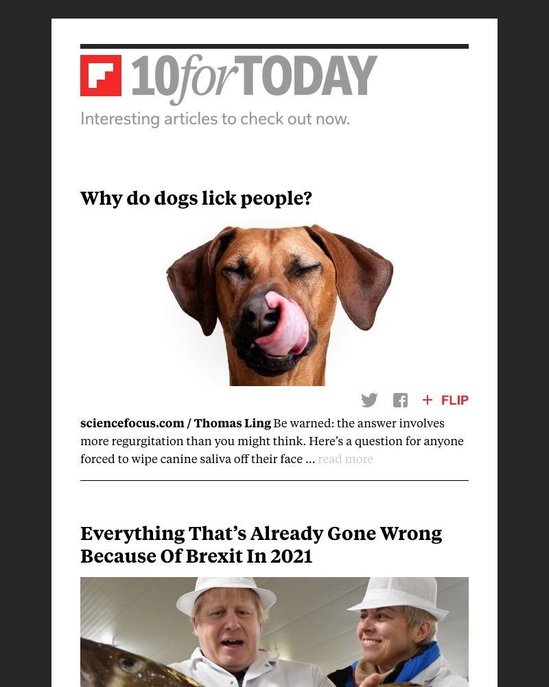 Flipboard - Why do dogs lick people?
