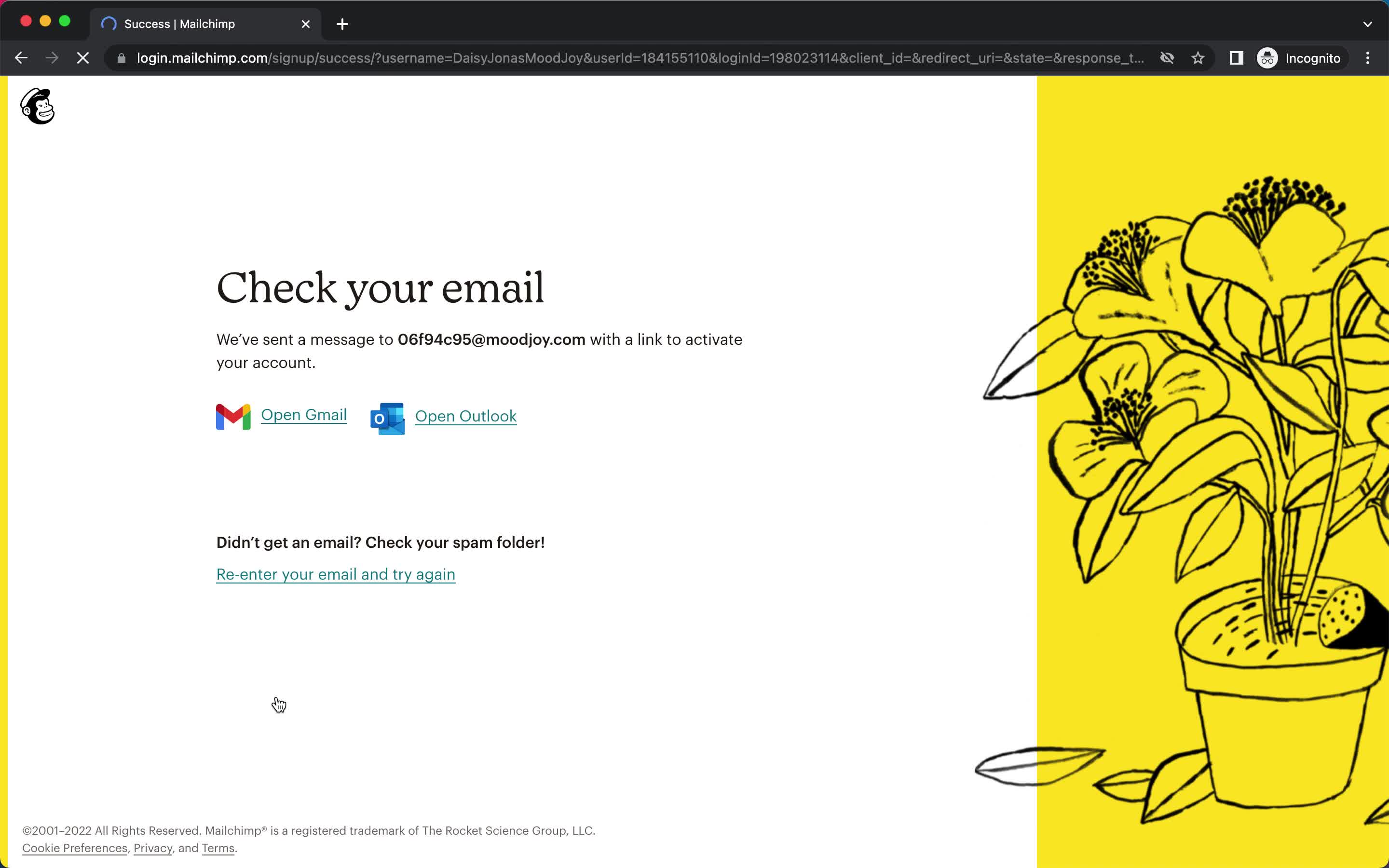 Mailchimp check your inbox screenshot