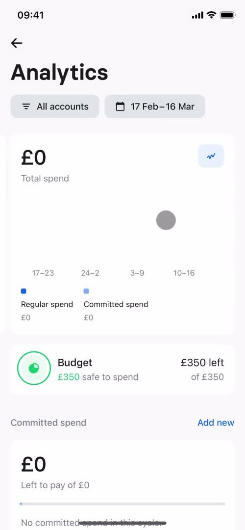 Creating a budget screenshot