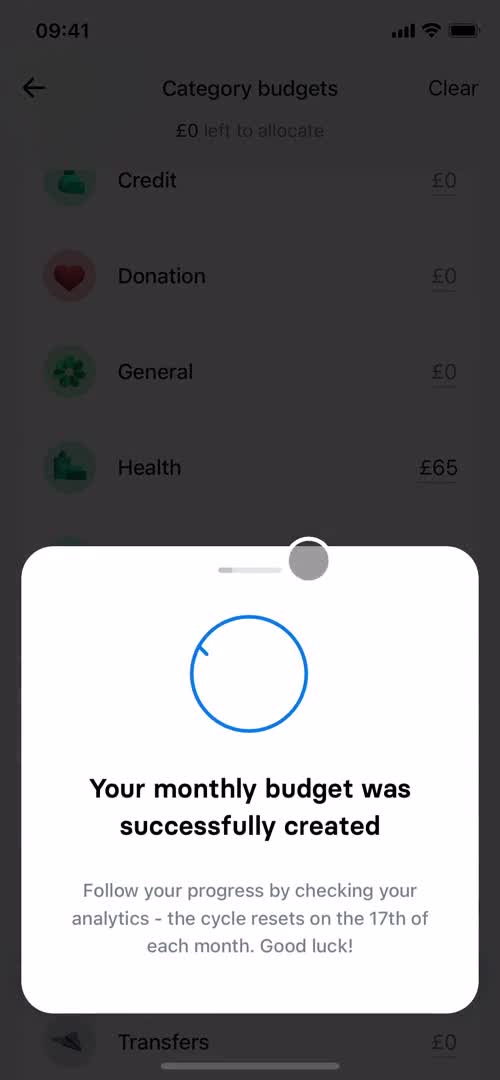 Creating a budget screenshot