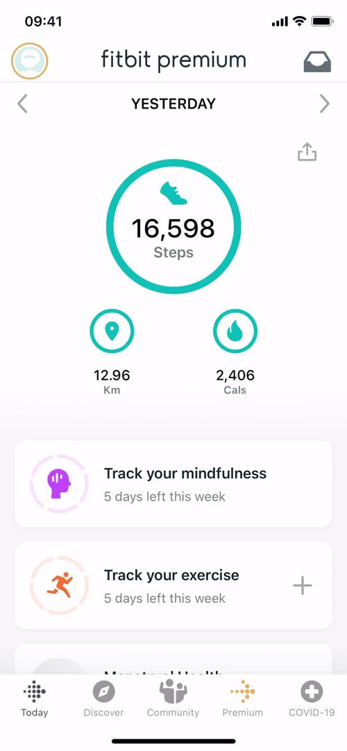 Screenshot of Tracking activity on Fitbit