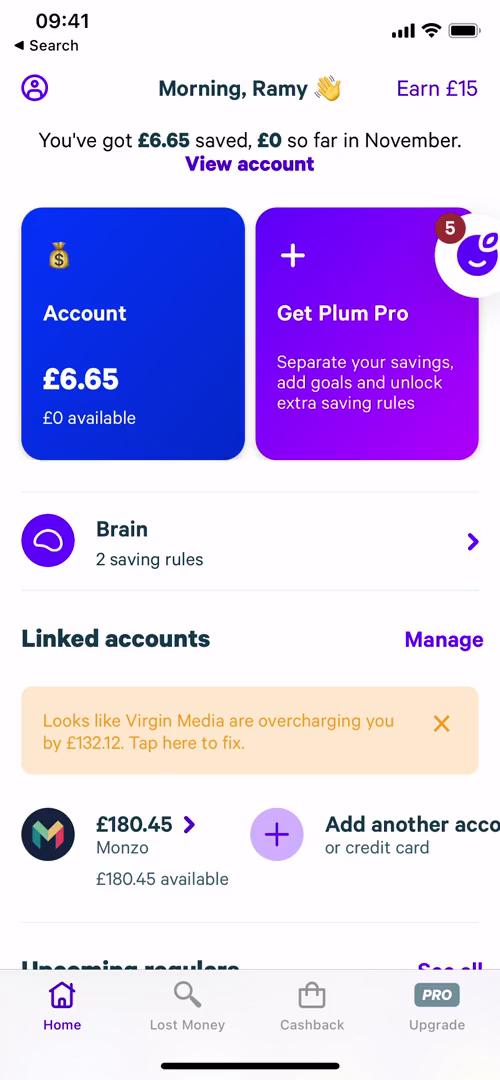 Screenshot of Upgrading your account on Plum