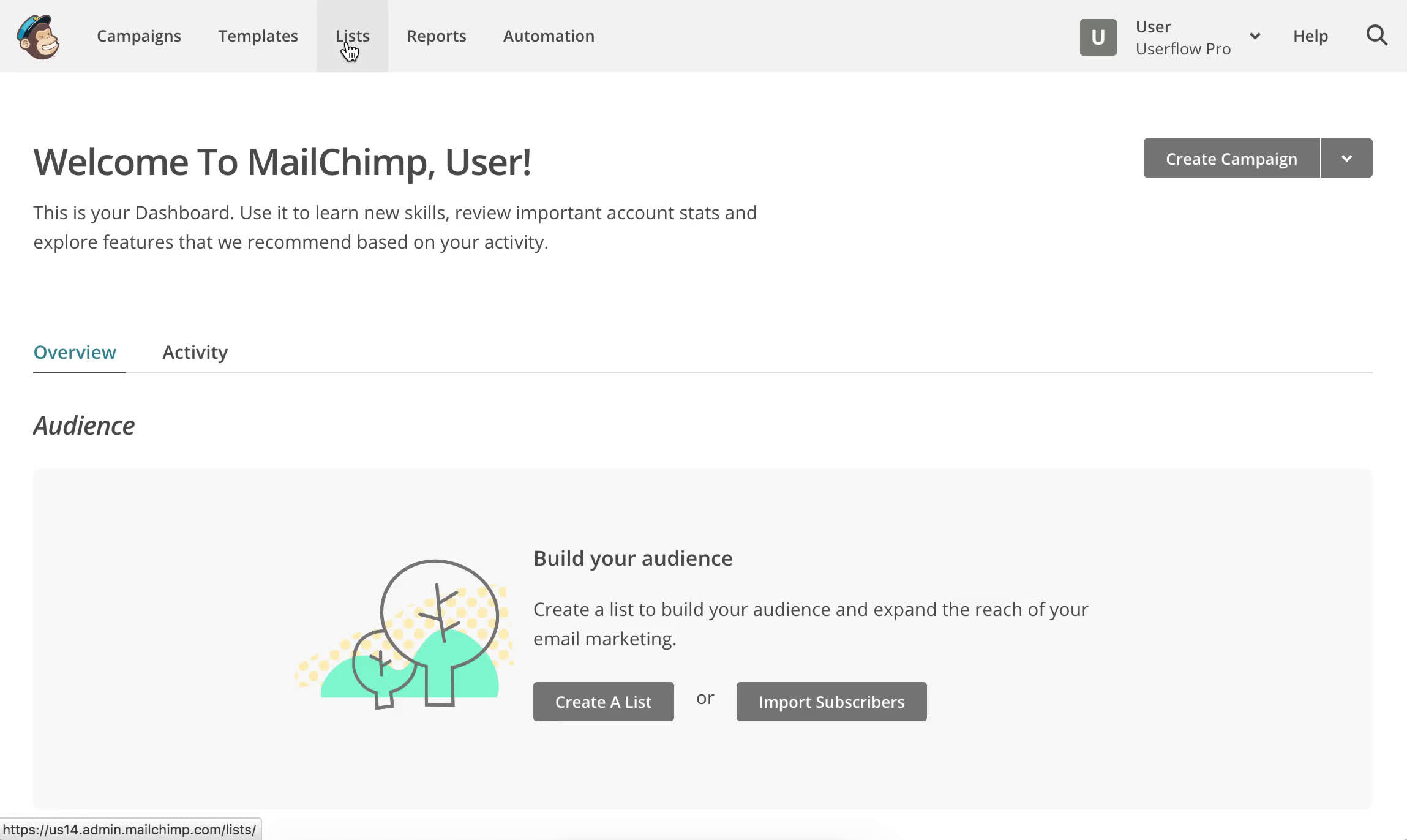Screenshot of Creating an email list on Mailchimp